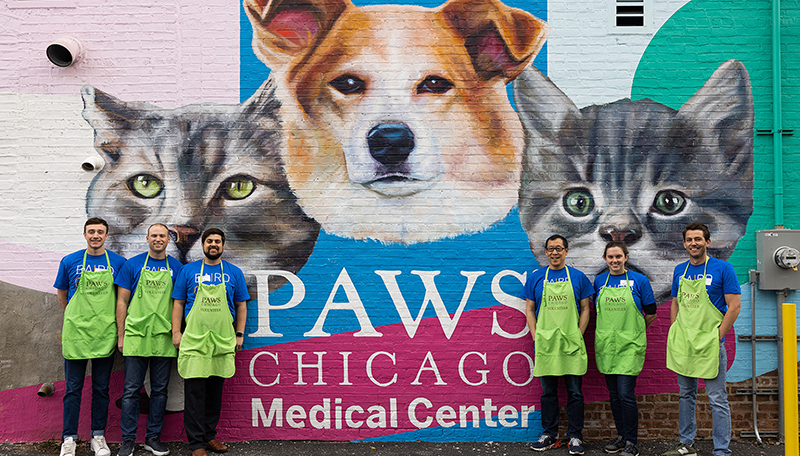 Baird Capital team volunteering at PAWS Chicago