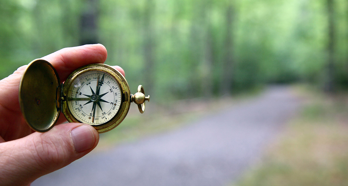 Hand holding compass in the forest