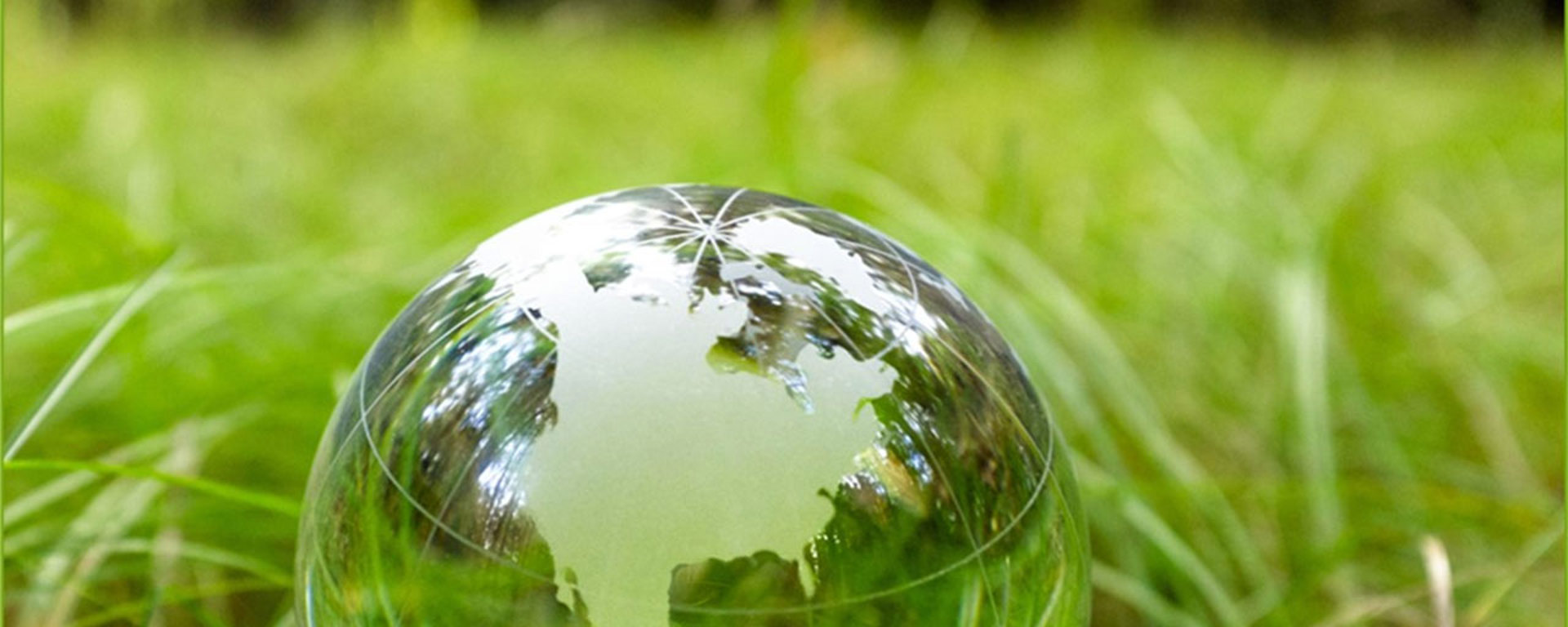 Glass globe placed on green grass.