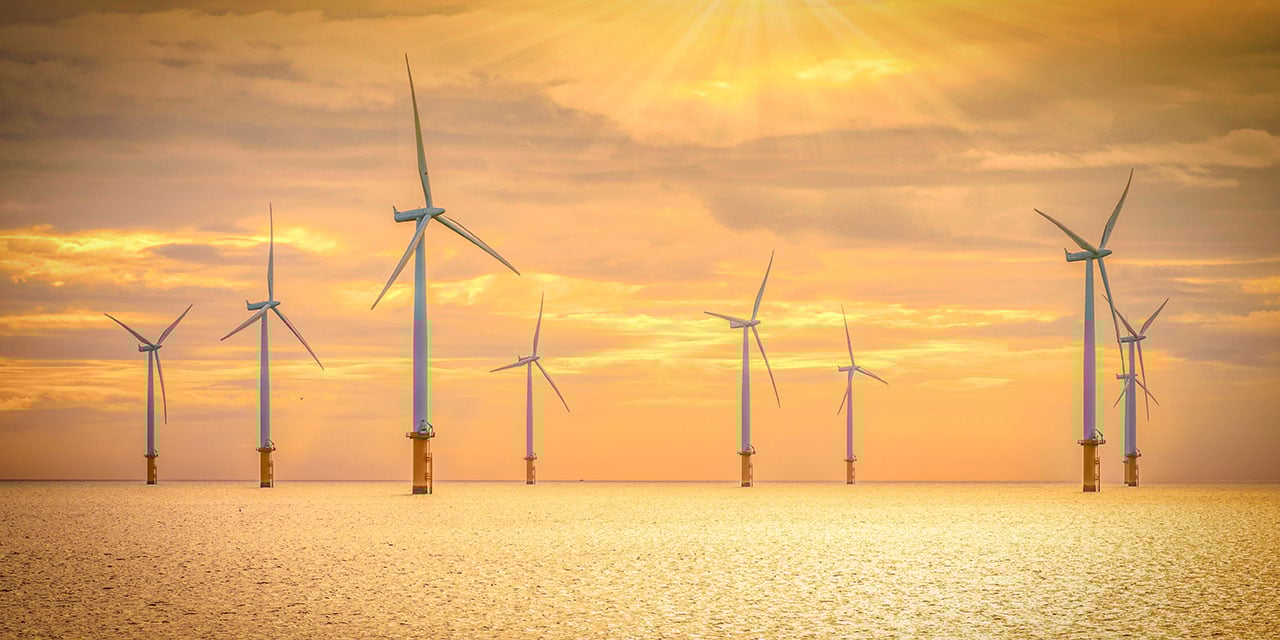 Wind turbines in a field at sunrise