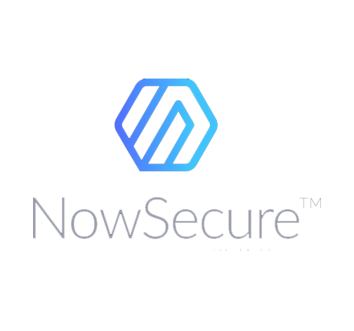 Now Secure Logo
