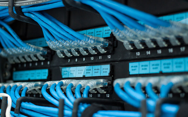 Close up photo of networking cables